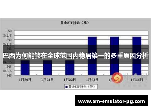 巴西为何能够在全球范围内稳居第一的多重原因分析 巴西为何能够在全球范围内稳居第一的多重原因分析