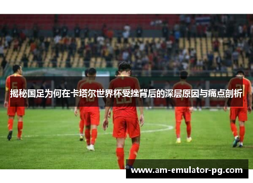 揭秘国足为何在卡塔尔世界杯受挫背后的深层原因与痛点剖析