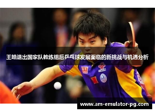 王皓退出国家队教练组后乒乓球发展面临的新挑战与机遇分析